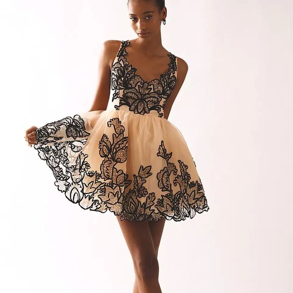 Anthropologie Maeve Sleeveless V-Neck Lace Fit And Flare Mini Dress Size 6 NWT - Picture 2 of 15